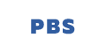 PBS miniature bearings